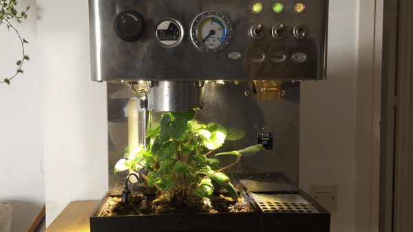 Turning a Coffee Machine into a Smart Garden - ThePlantBot.com